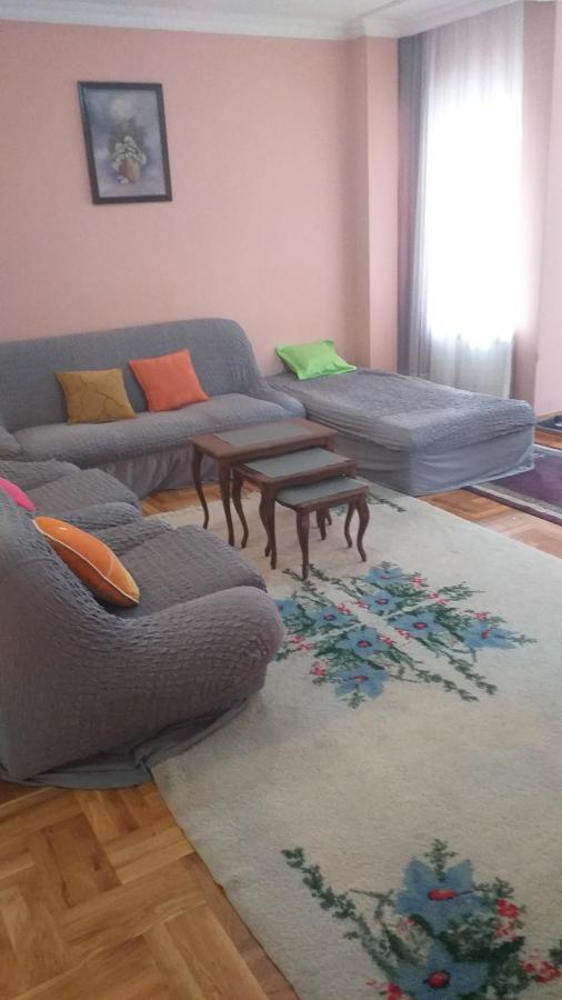 Apartment Gajic Belgrado Buitenkant foto